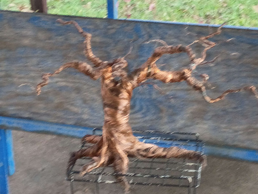 Driftwood sculpture depicting a tree with twisted branches