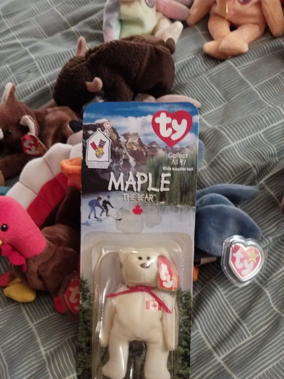 Ty Beanie Baby 'Maple the Bear' collectible plush toy