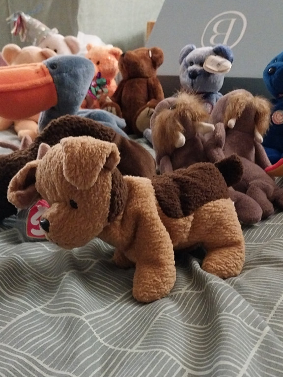 Ty Beanie Baby plush toy 'Tuffy' the terrier dog