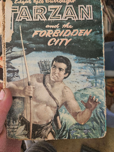 Hardcover book titled 'Tarzan and the Forbidden City' by Edgar Rice Burroughs