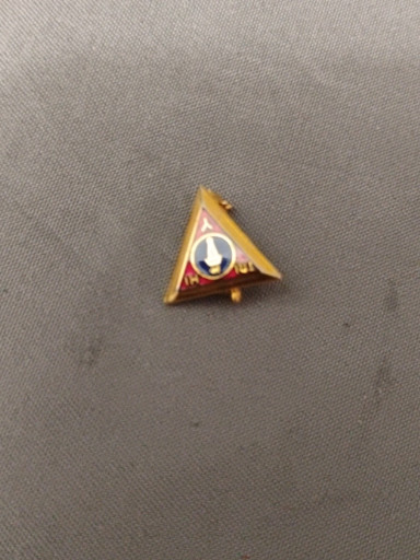 Vintage enamel and gold-tone metal Tri-Hi-Y YMCA lapel pin