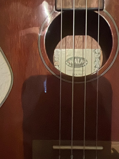Mahogany concert ukulele by Aria, Model U-100