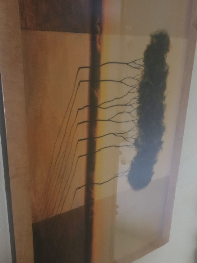 Abstract etching with mixed media elements, possibly titled 'Regiones Botanicas' or similar botanical-themed work