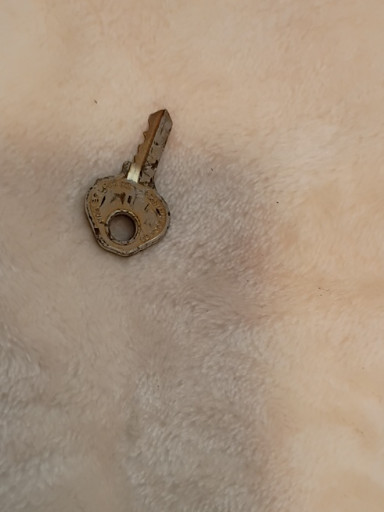Vintage brass trunk key, likely for a steamer trunk or luggage lock