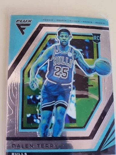 2022-23 Panini Flux basketball trading card featuring Dalen Terry rookie card