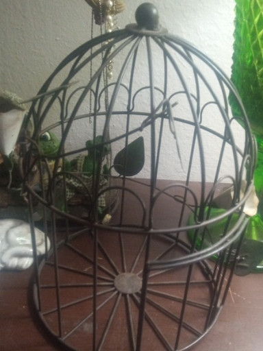 Decorative metal wire birdcage planter
