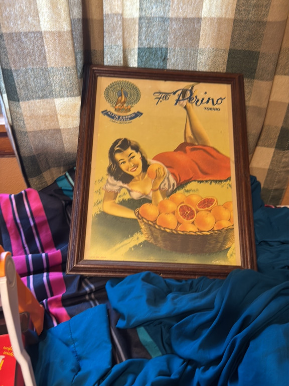 Framed vintage advertising poster for 'Filli Perino Torino' featuring oranges
