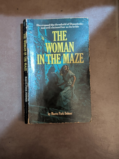Vintage paperback book titled 'The Woman in the Maze' by Rona Park Palmer