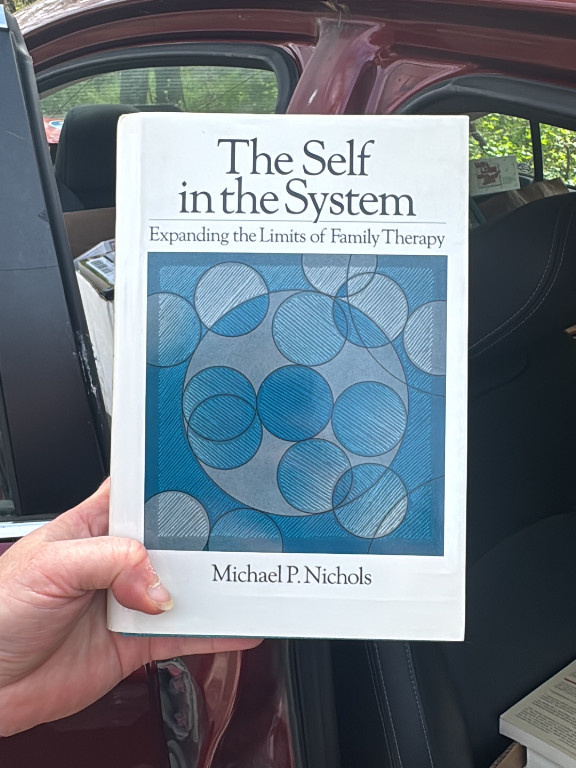 Book titled 'The Self in the System: Expanding the Limits of Family Therapy' by Michael P. Nichols