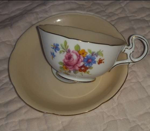 Bone china teacup and saucer with floral decoration by Royal Grafton