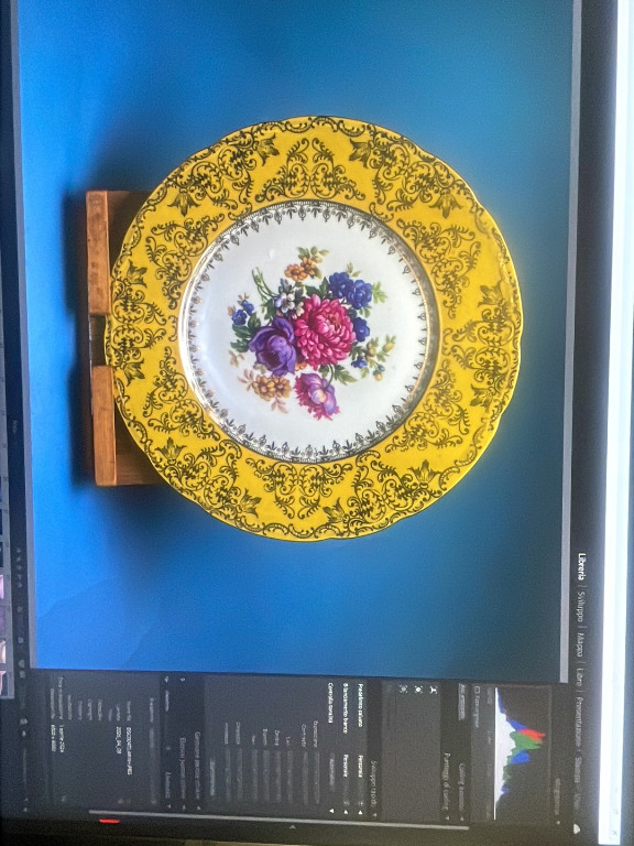 Piatto decorativo in porcellana con bordo giallo e motivi floreali, prodotto da MZ Moritz Zdekauer