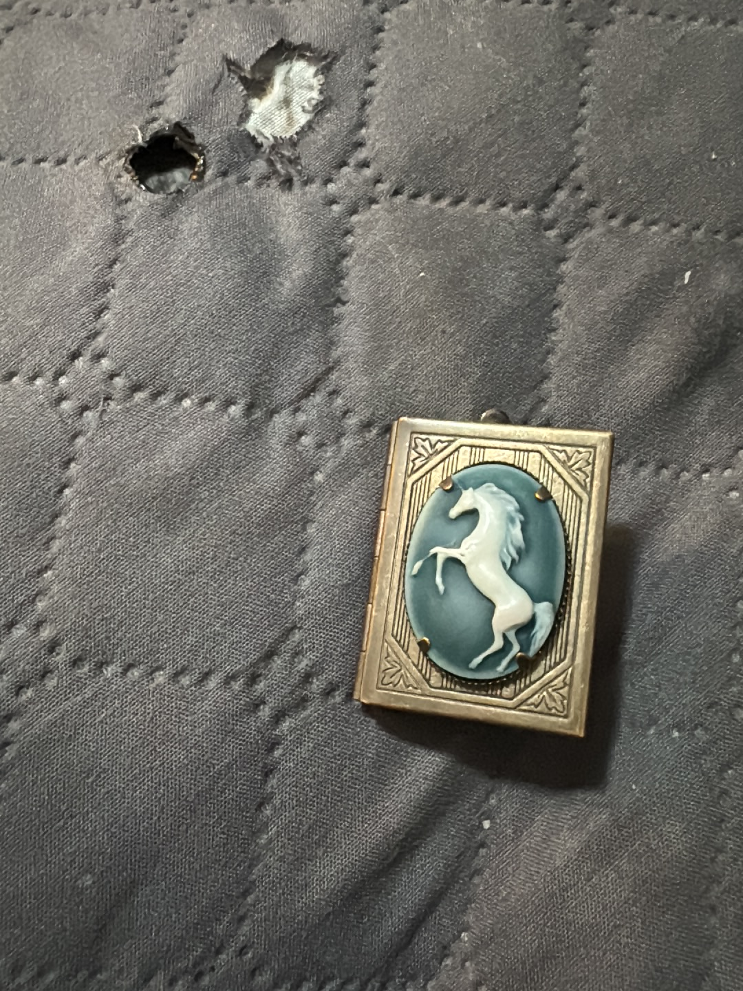 Brass and resin unicorn cameo book locket