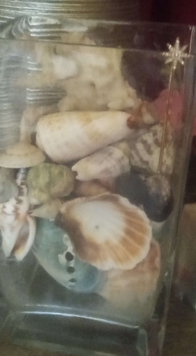 Glass vase filled with natural seashells
