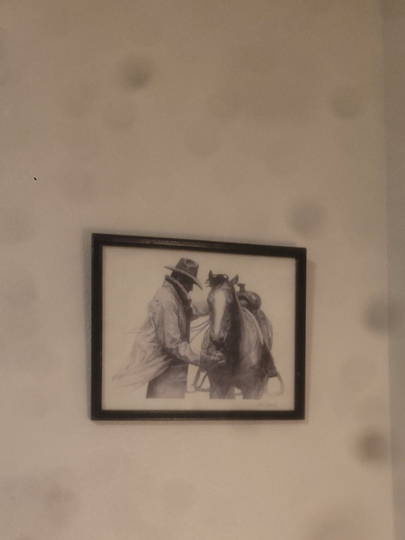 Framed lithograph print titled 'Partners' by W.H. Ford