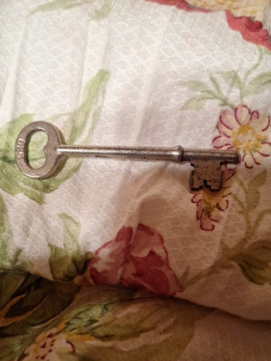 Antique steel skeleton key