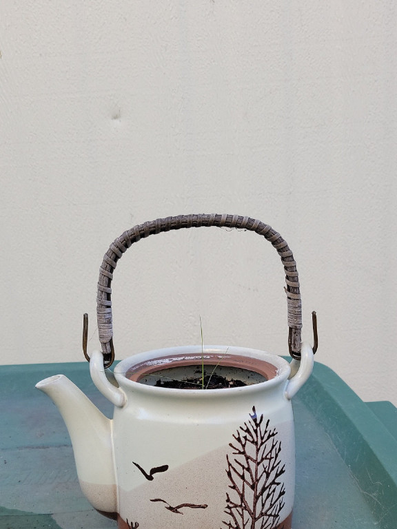 Ceramic teapot with bamboo handle featuring bird and tree motif, Japanese style