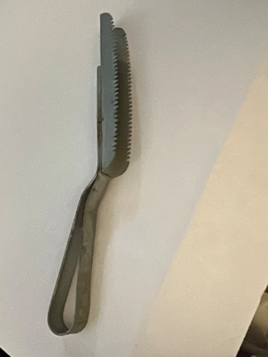 Stainless steel fish scaler tool