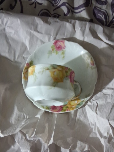Porcelain teacup and saucer set with hand-painted rose decoration, likely by Thomas or similar Bavarian manufacturer