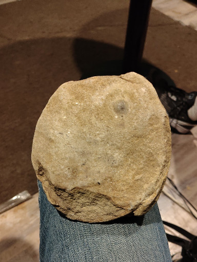 Stone fossil specimen, possibly ammonite or marine invertebrate impression in sedimentary matrix