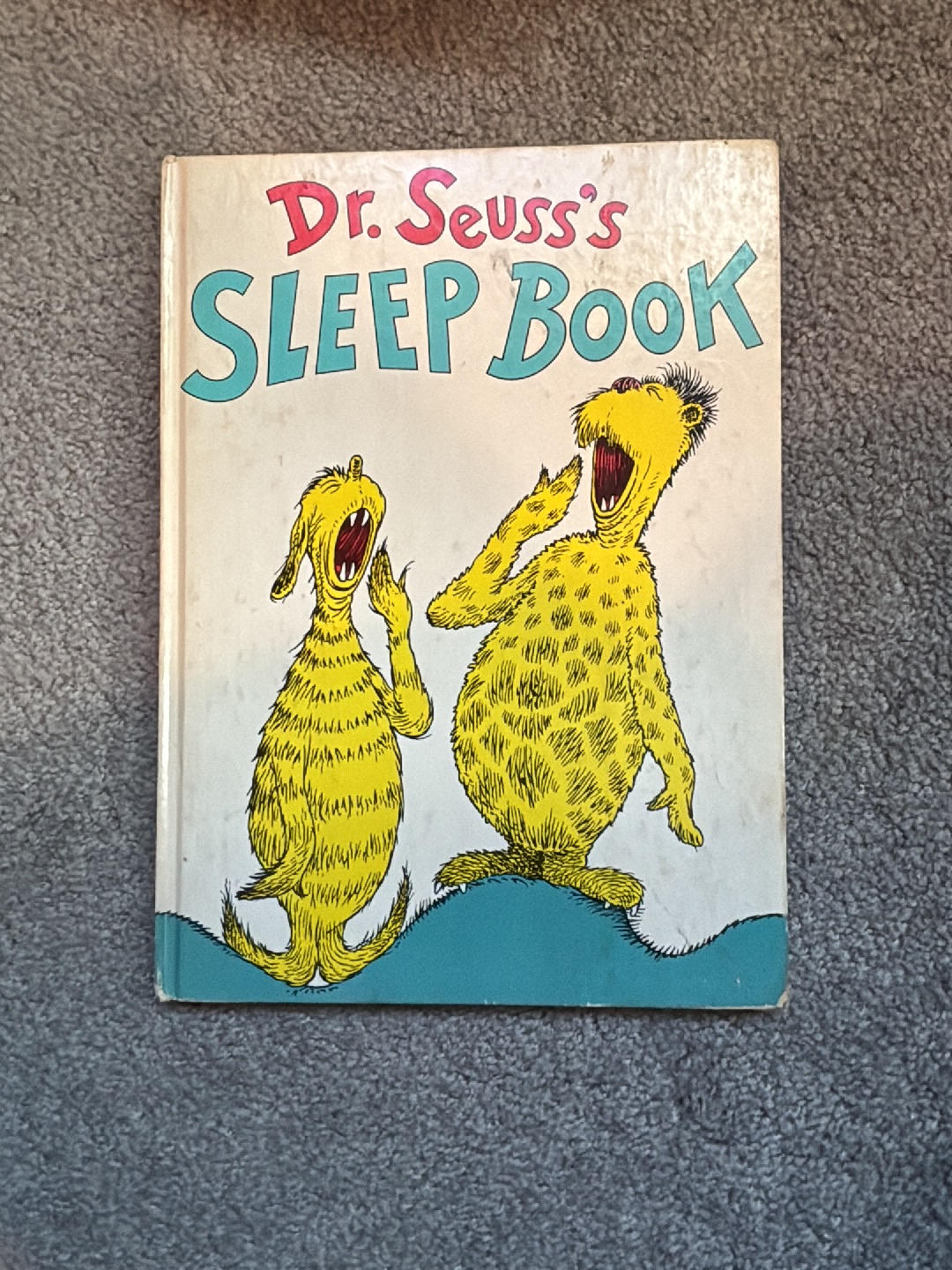 Children's book titled 'Dr. Seuss's Sleep Book' by Dr. Seuss
