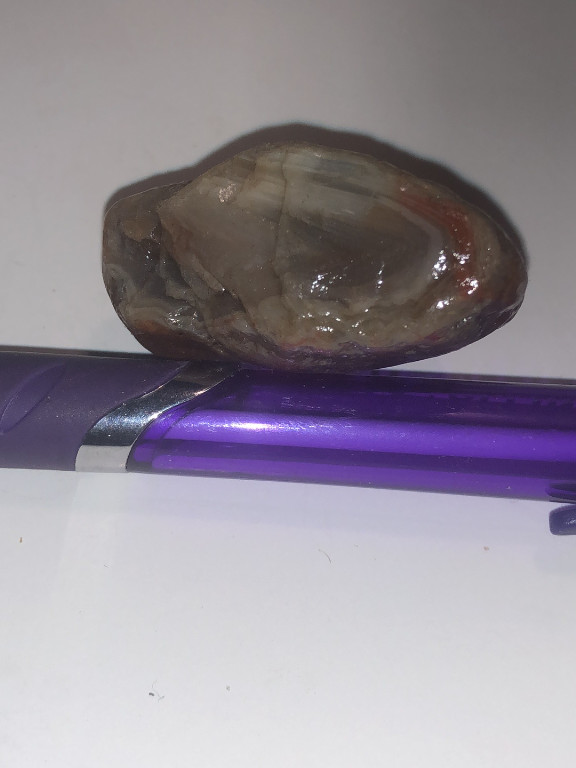 Natural polished agate nodule weighing 126 carats with banded patterns