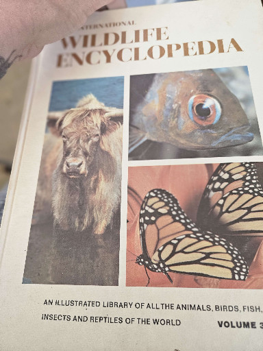 Hardcover reference book titled 'International Wildlife Encyclopedia' Volume 3