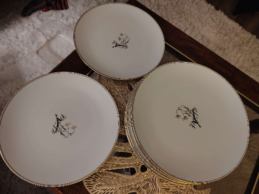 Porcelain dinner plates from the 'Diana' pattern #5522 by Noritake
