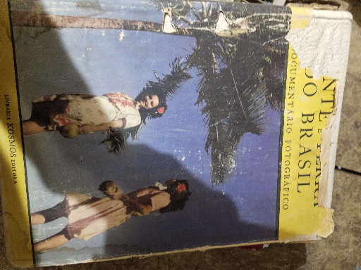 Hardcover book titled 'O Brasil' by Erich Eichner, published by Livraria Exposição do Livro