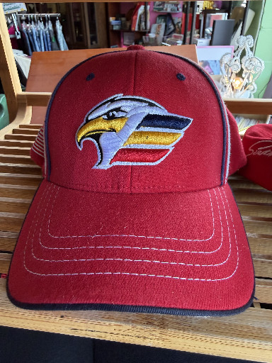 Zephyr Fit adjustable baseball cap featuring Colorado Eagles hockey team logo