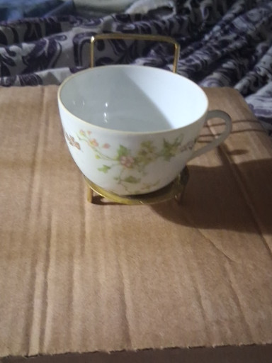 Porcelain teacup with floral decoration by Haviland Limoges