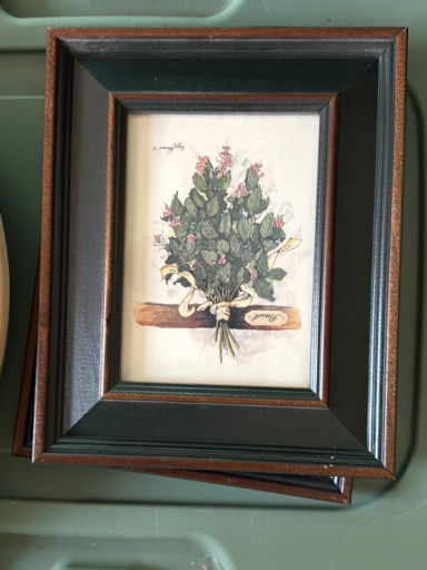 Framed botanical print titled 'Oregano' by Peggy Abrams