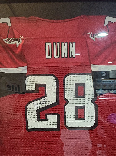 Reebok NFL jersey of Warrick Dunn #28, Atlanta Falcons