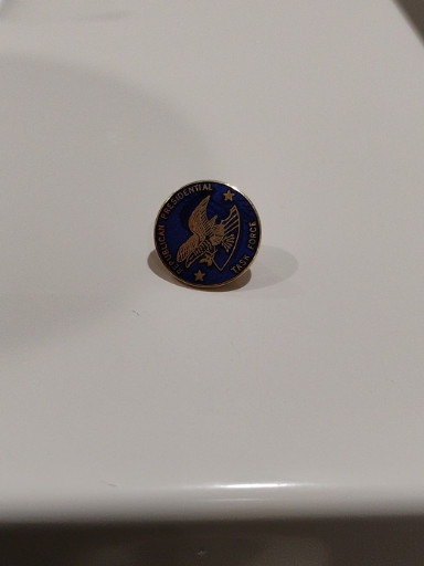Enamel lapel pin or badge featuring an eagle emblem with blue background