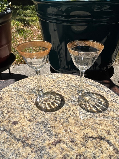 Pair of crystal champagne coupe glasses with gold rim decoration by Tiffin-Franciscan