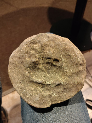 Fossilized dinosaur footprint (likely sauropod) in sedimentary stone