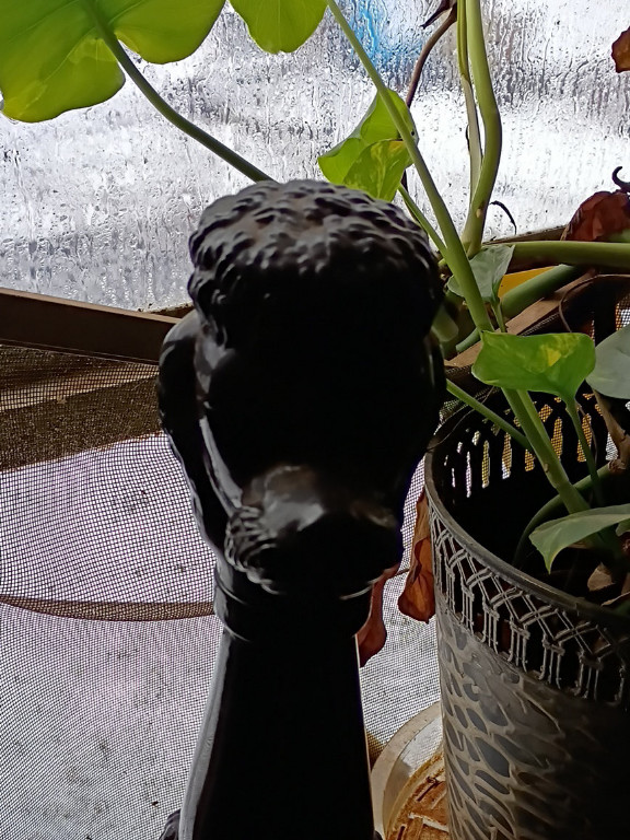Bronze lion head finial from a newel post