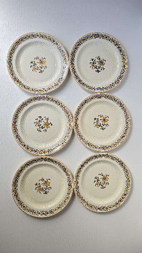 Set of six ceramic salad plates with floral transfer decoration by Ridgways 'Blackstone' pattern