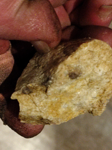 Natural gold ore specimen with visible gold in quartz matrix