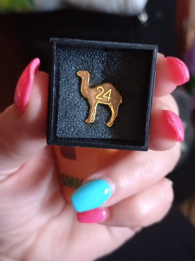 Gold-plated camel lapel pin with '24' marking, Alcoholics Anonymous 24-hour sobriety symbol