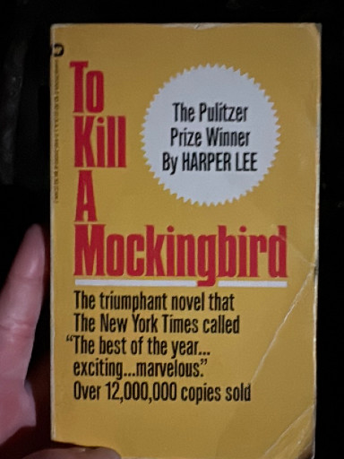 Paperback book titled 'To Kill a Mockingbird' by Harper Lee, Warner Books edition