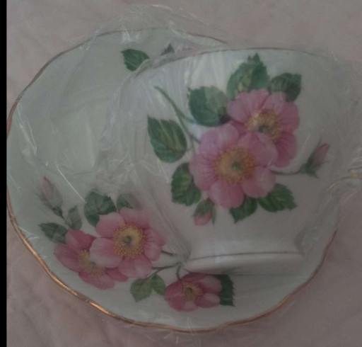 Bone china teacup and saucer set with pink floral decoration, likely by Windsor or Royal Vale