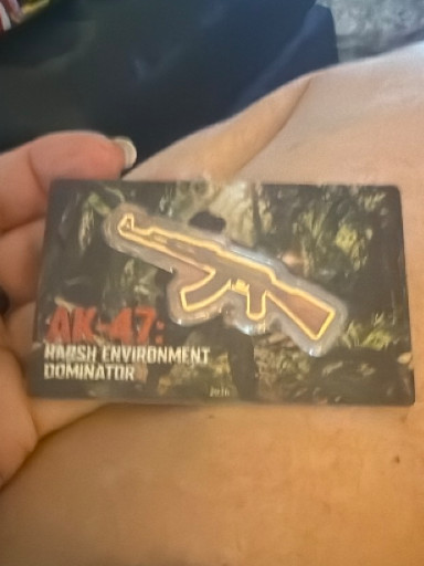Collectible card from the video game 'AK-47 Marsh Environment Dominator'