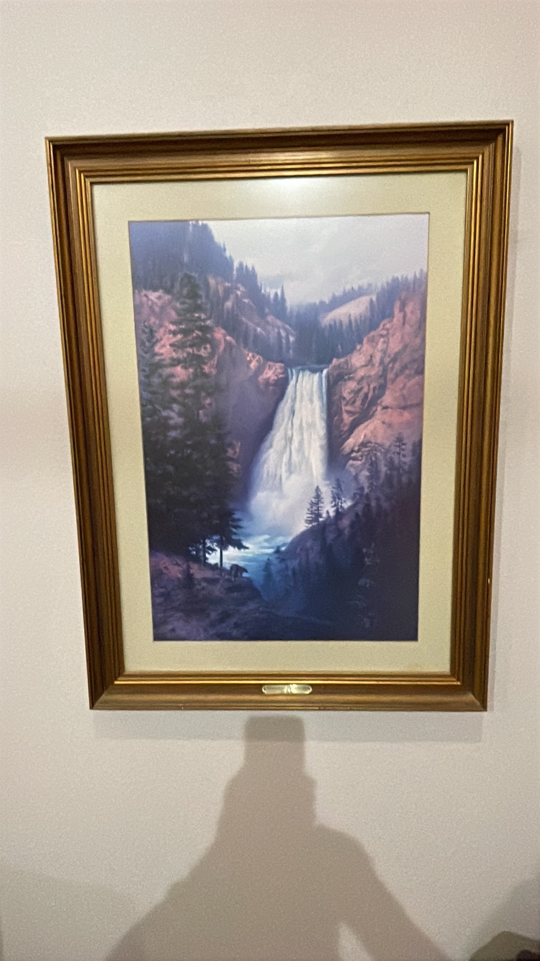 Print titled 'Thundering Splendor' by Dalhart Windberg