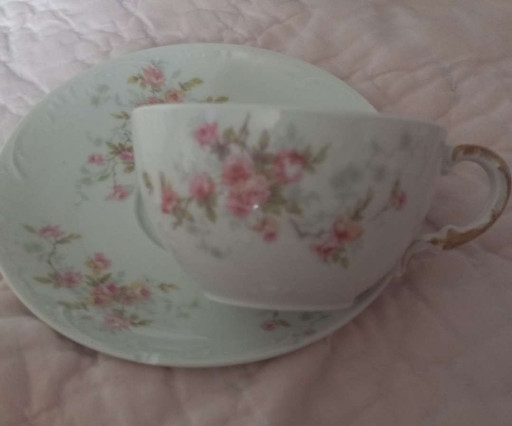 Porcelain teacup and saucer set with pink floral decoration by Theodore Haviland Limoges