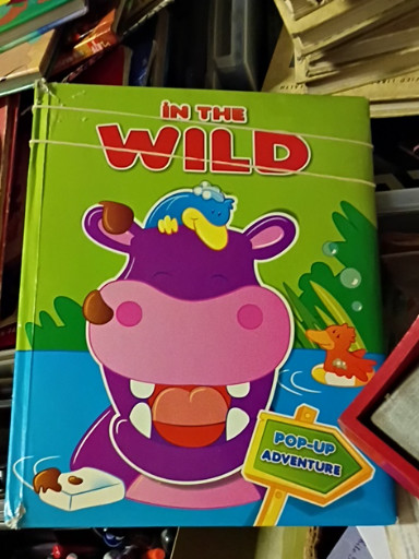 Children's pop-up board book titled 'In The Wild'