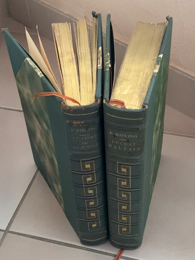 Ensemble de deux volumes reliés en cuir vert: 'Le Livre de la Jungle' et 'Le Chat Maltais' par Rudyard Kipling