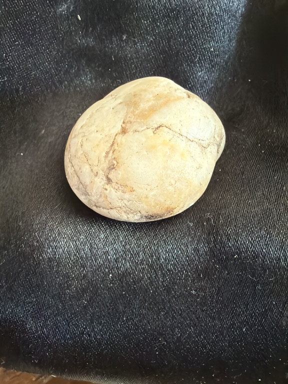 Fossilized dinosaur egg, likely a cast or reproduction