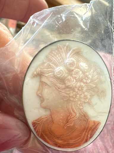 Carved shell cameo depicting a classical female profile with elaborate headdress