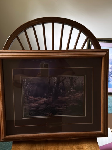 Framed print titled 'Night Mapling' by Terry Redlin