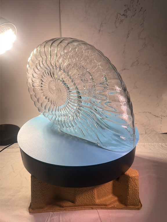 Glass nautilus shell sculpture on illuminated base